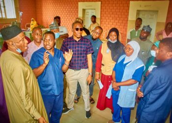 Niger Assembly Health Committee Directs Spotlight on Healthcare Crisis in Wushishi, Kaffin Koro, and Kuta