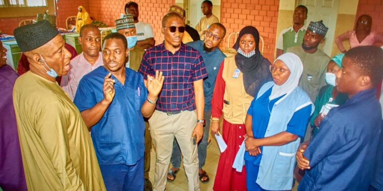 Niger Assembly Health Committee Directs Spotlight on Healthcare Crisis in Wushishi, Kaffin Koro, and Kuta