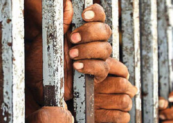 Nigerian Man Faces Sentencing for Unemployment Fraud in US