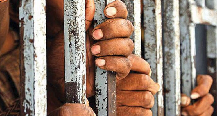 Nigerian Man Faces Sentencing for Unemployment Fraud in US