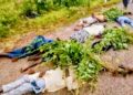 Tragic Head-On Crash Claims Nine Lives on Niger Highway