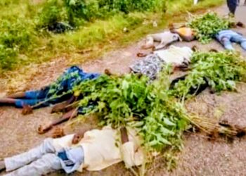 Tragic Head-On Crash Claims Nine Lives on Niger Highway