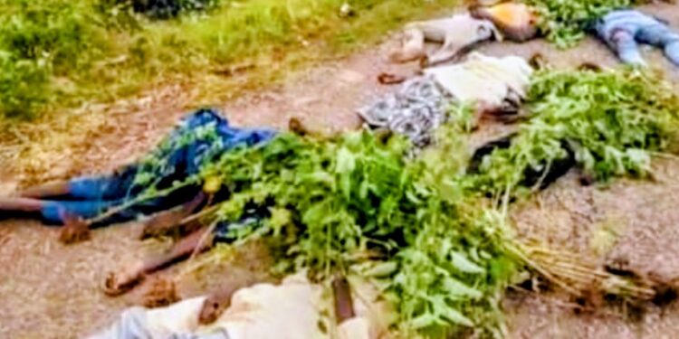 Tragic Head-On Crash Claims Nine Lives on Niger Highway