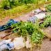 Tragic Head-On Crash Claims Nine Lives on Niger Highway