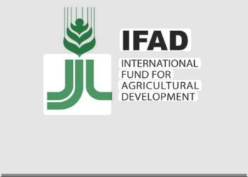 IFAD-VCDP Empowers Niger State Rice Farmers Ahead of 2026 Wet Season.