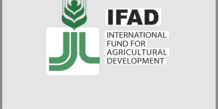 IFAD-VCDP Empowers Niger State Rice Farmers Ahead of 2026 Wet Season.
