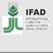 IFAD-VCDP Empowers Niger State Rice Farmers Ahead of 2026 Wet Season.