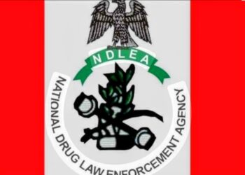 Dismantle Cartels’ Wealth: Marwa Orders NDLEA Officers to Target Illicit Finances and Assets