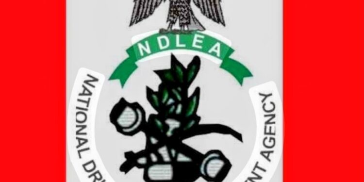 Dismantle Cartels’ Wealth: Marwa Orders NDLEA Officers to Target Illicit Finances and Assets